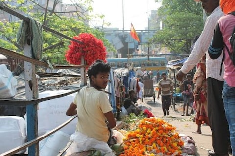 Flower Market Tour @ Mallick Ghat Flower Market